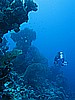 IMG_1086.JPG