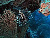 IMG_1088.JPG