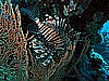 IMG_1089.JPG