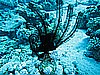 IMG_1092.JPG