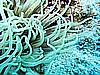 IMG_1096.JPG