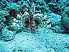IMG_1098.JPG