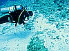 IMG_1101.JPG