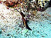 IMG_1108.JPG