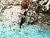 IMG_1109.JPG