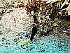 IMG_1110.JPG