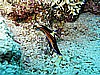 IMG_1111.JPG