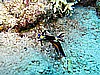 IMG_1113.JPG