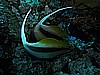 IMG_1115.JPG