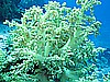 IMG_1116.JPG