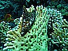 IMG_1119.JPG