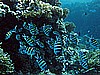 IMG_1122.JPG