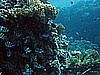 IMG_1123.JPG