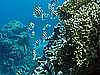 IMG_1125.JPG