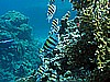 IMG_1126.JPG