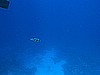 IMG_1129.JPG