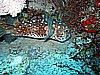 IMG_1133.JPG