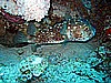 IMG_1134.JPG
