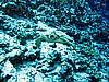 IMG_1136.JPG