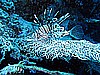 IMG_1139.JPG