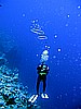 IMG_1141.JPG