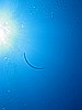 IMG_1143.JPG