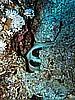 IMG_1146.JPG