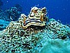 IMG_1147.JPG