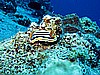 IMG_1148.JPG