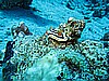 IMG_1149.JPG