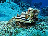IMG_1151.JPG