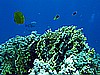 IMG_1153.JPG