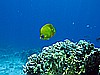 IMG_1154.JPG