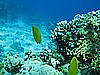 IMG_1155.JPG