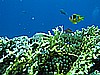 IMG_1156.JPG