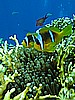 IMG_1157.JPG