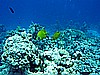 IMG_1158.JPG