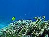 IMG_1160.JPG