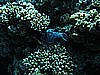 IMG_1161.JPG