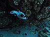 IMG_1162.JPG