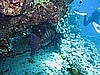 IMG_1169.JPG