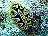 IMG_1173.JPG