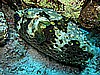 IMG_1176.JPG