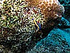 IMG_1177.JPG