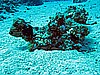 IMG_1180.JPG