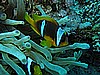 IMG_1184.JPG