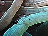 IMG_1186.JPG