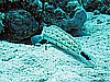 IMG_1189.JPG