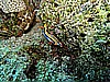 IMG_1195.JPG