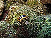 IMG_1198.JPG